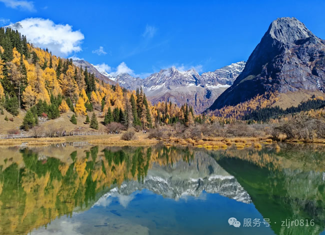 &#20843;&#25106;&#20307;&#32946;&#40;&#20013;&#22269;&#41;&#23448;&#26041;&#32593;&#31449;&#45;&#30331;&#24405;&#20837;&#21475;